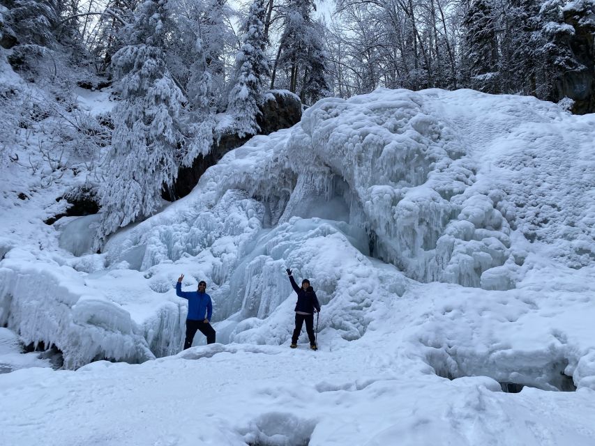 From Anchorage: Chugach State Park Winter Walking Tour - Highlights