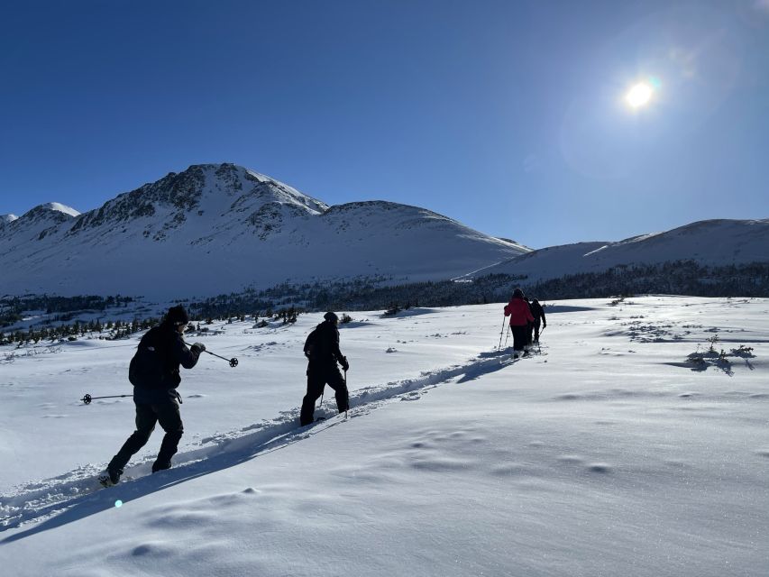 From Anchorage: Glen Alps Beginners Snowshoeing Adventure - Wildlife Spotting Opportunities