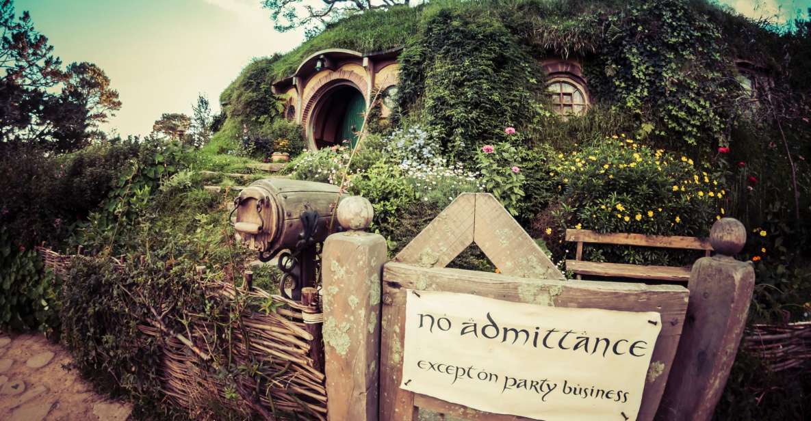 From Auckland: Hobbiton Afternoon Tour - Experience Highlights