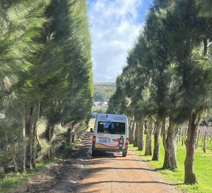 From Auckland: Waiheke Island Wine Cellar Tour - Pricing and Duration