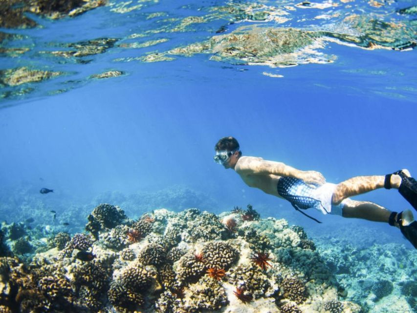 From Bali: Nusa Penida Snorkeling & Island Tour Special Trip - Pickup and Inclusions