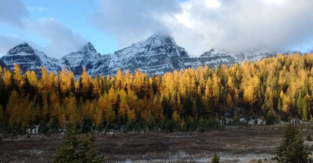 From Banff or Lake Louise: Moraine Lake & Larch Valley Hike - Pick-up Locations and Times