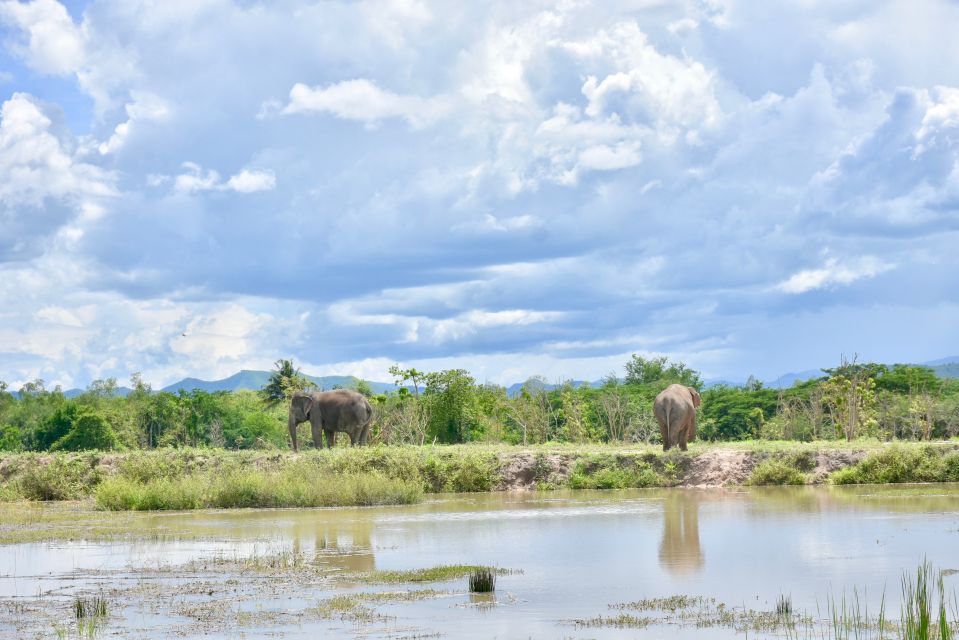 From Bangkok: Wildlife Rescue and Elephant Rescue Tour - Pickup and Transportation