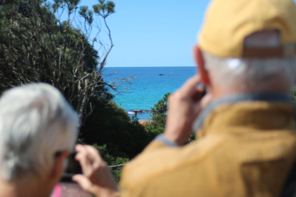 From Busselton: Half-Day Coastal and Wildlife Eco Tour - Inclusions