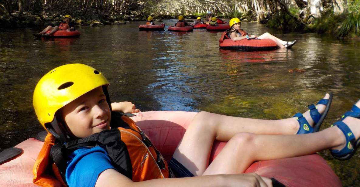 From Cairns and Northern Beaches: Rainforest River Tubing - Experience Highlights