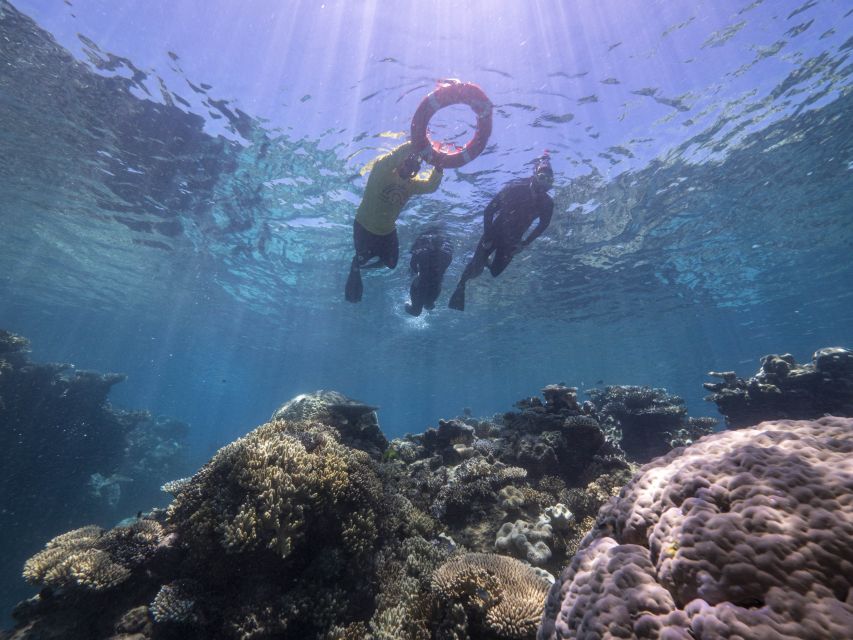 From Cairns: Great Barrier Reef Cruise by Premium Catamaran - Inclusions