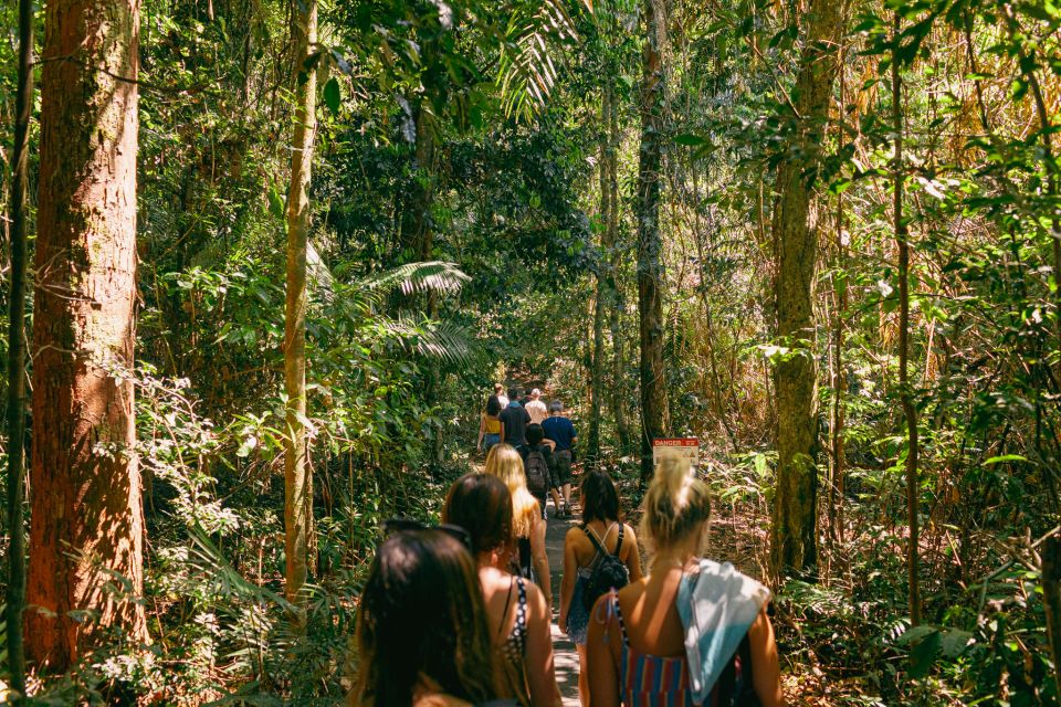 From Cairns: Splash & Slide Waterfall Tour With Picnic Lunch - Inclusions and Availability