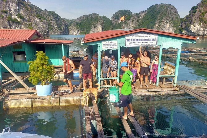 From Cat Ba Island: Full Day Boat Tour to Lan Ha Bay - Ha Long Bay - Tour Inclusions