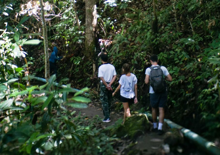 From Chiang Mai: Doi Inthanon National Park Day Trip & Hike - Pickup and Transportation