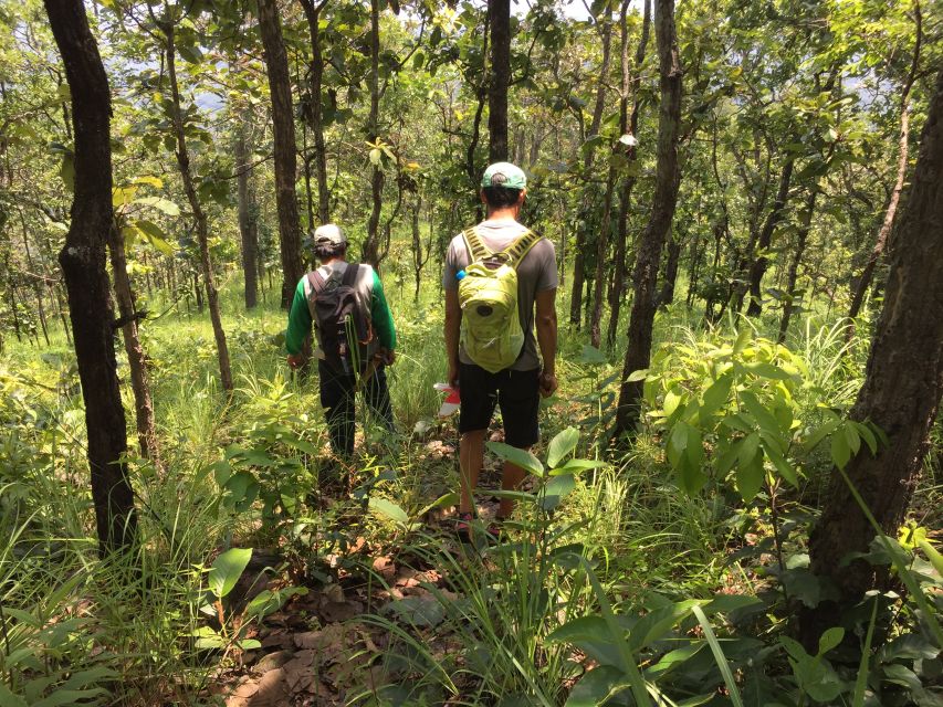 From Chiang Mai: High Mountain Day Trek - Journey to the Trailhead