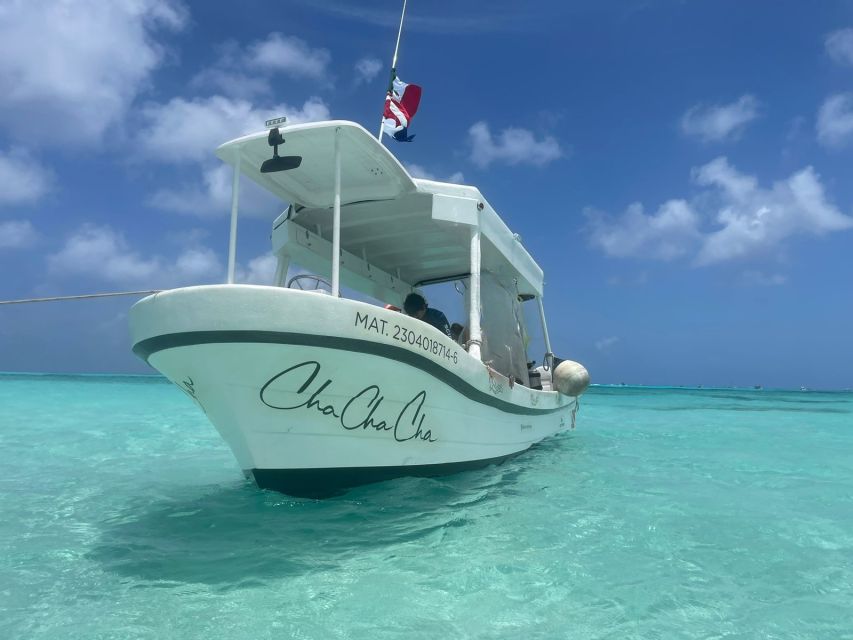 From Cozumel: Private Snorkeling Charter to El Cielo & Cielito - Majestic Marine Life