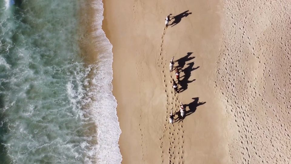 From Evora: Horseback Riding on Comporta Beach - Riding Experience