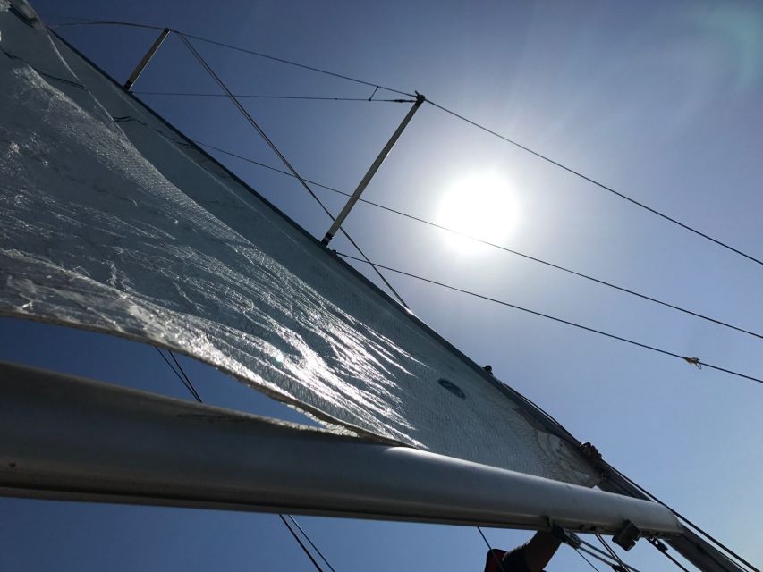 From Faro: Private Ria Formosa Sailing Trip - Sailing With an Experienced Skipper