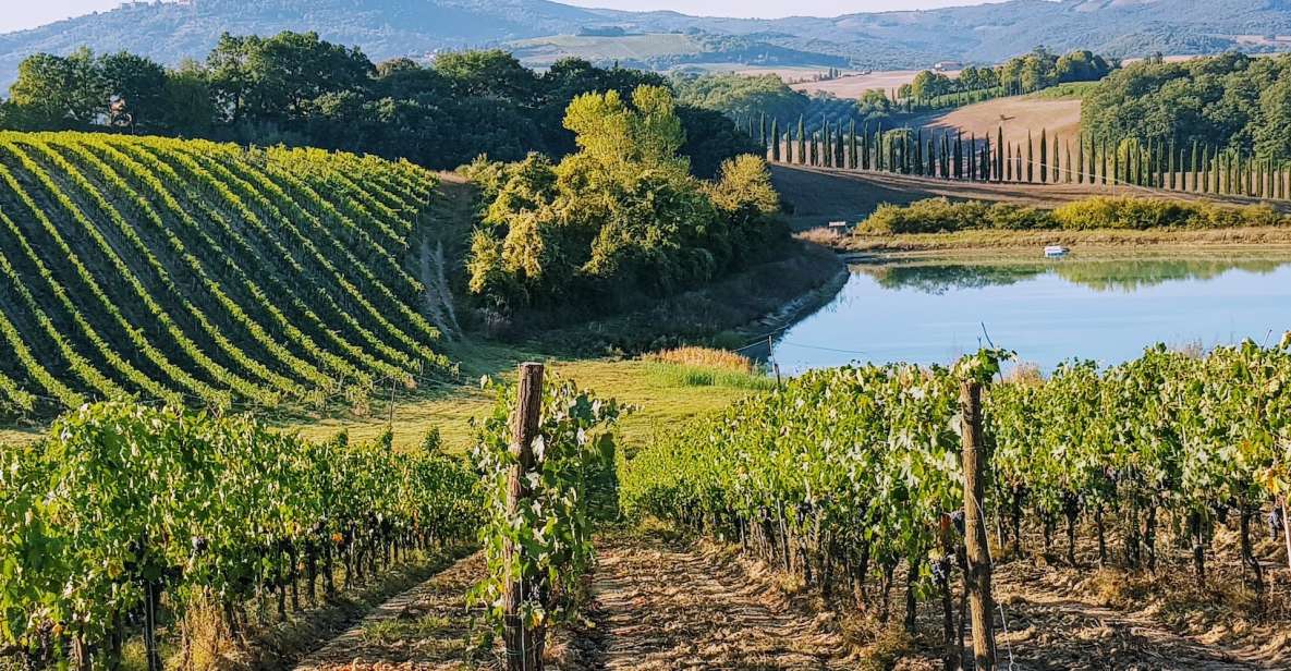 From Florence: Chianti Wine Tastings at Sunset Day Trip - Tour Details