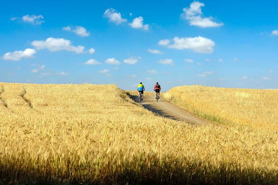 From Florence: Tuscany by E-Bike With Lunch and Wine Tasting - Visiting the Renowned Wine Estate