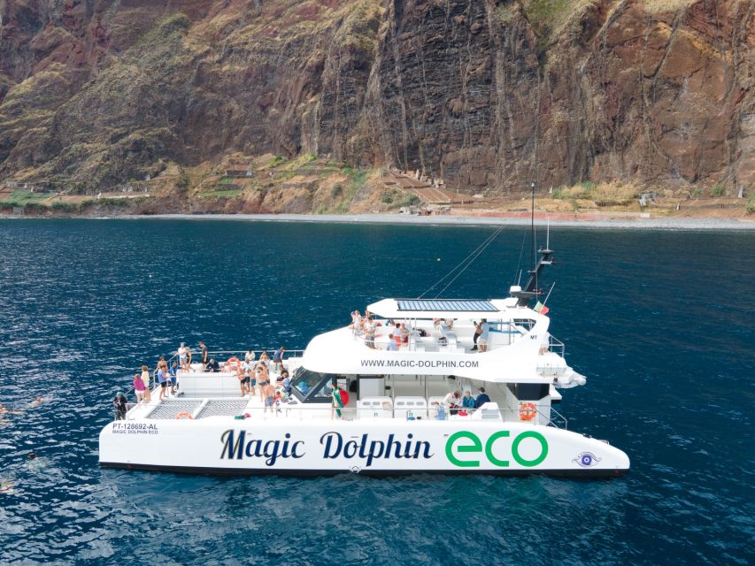 From Funchal: Ecological Catamaran Dolphin Whale Watching - Eco-friendly Catamaran