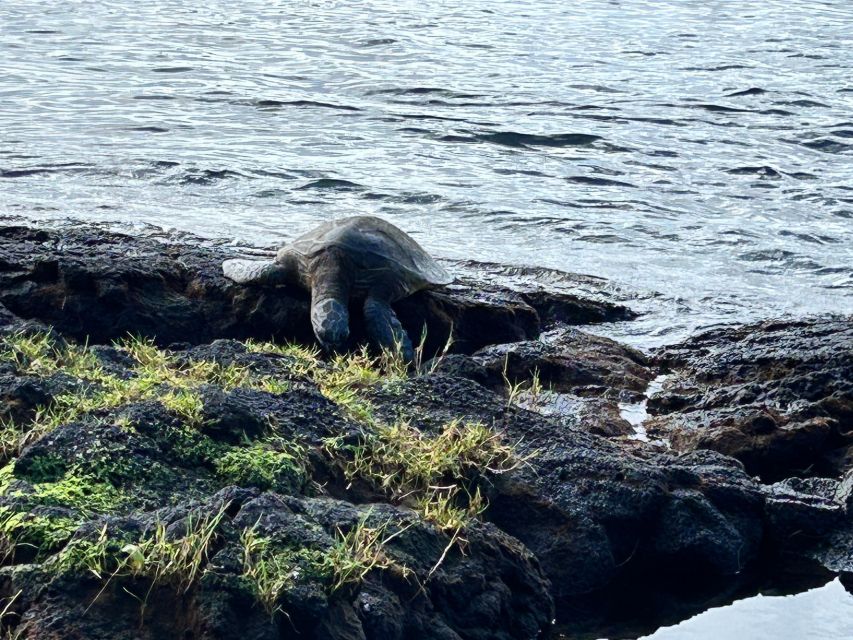 From Hilo: Hawaii Volcanoes National Park Tour - Tour Description