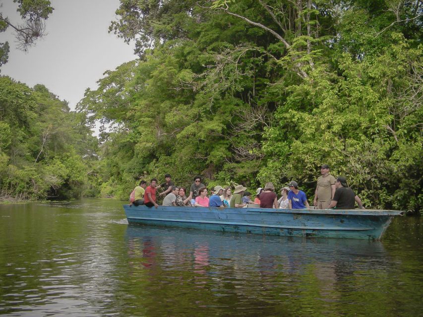 From Iquitos: 4-Day Guided Amazon Wildlife Exploration Tour - Highlights of the Exploration