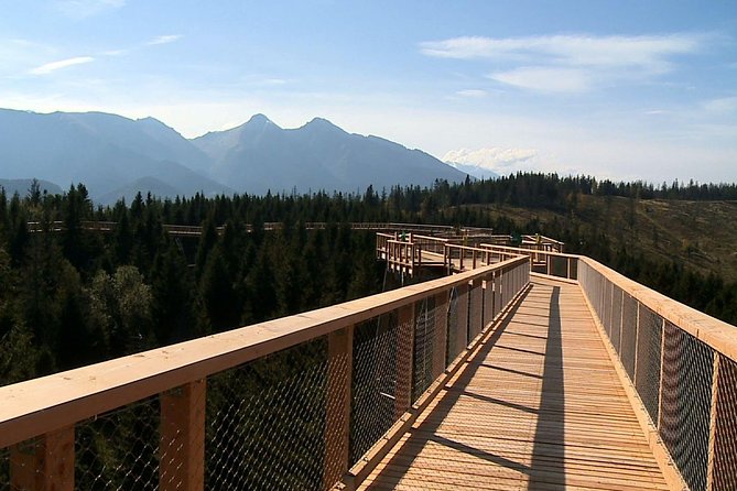 From Krakow: Slovakia Treetop Walk Bachledka and Zakopane - Krakow to Slovakia