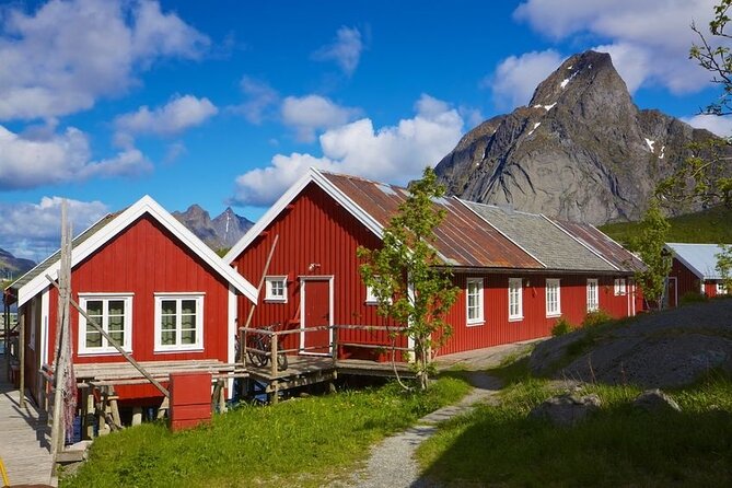 From Leknes Port: Special Summer Guided Tour of Lofoten - Discovering the Arctic Copacabana