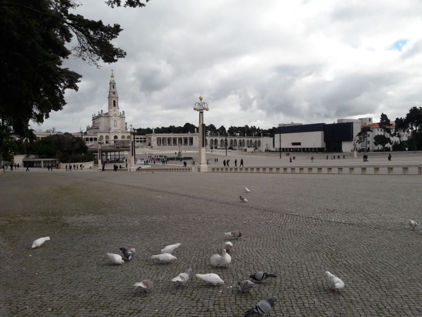 From Lisbon: Half-Day Fatima Tour - Itinerary Details