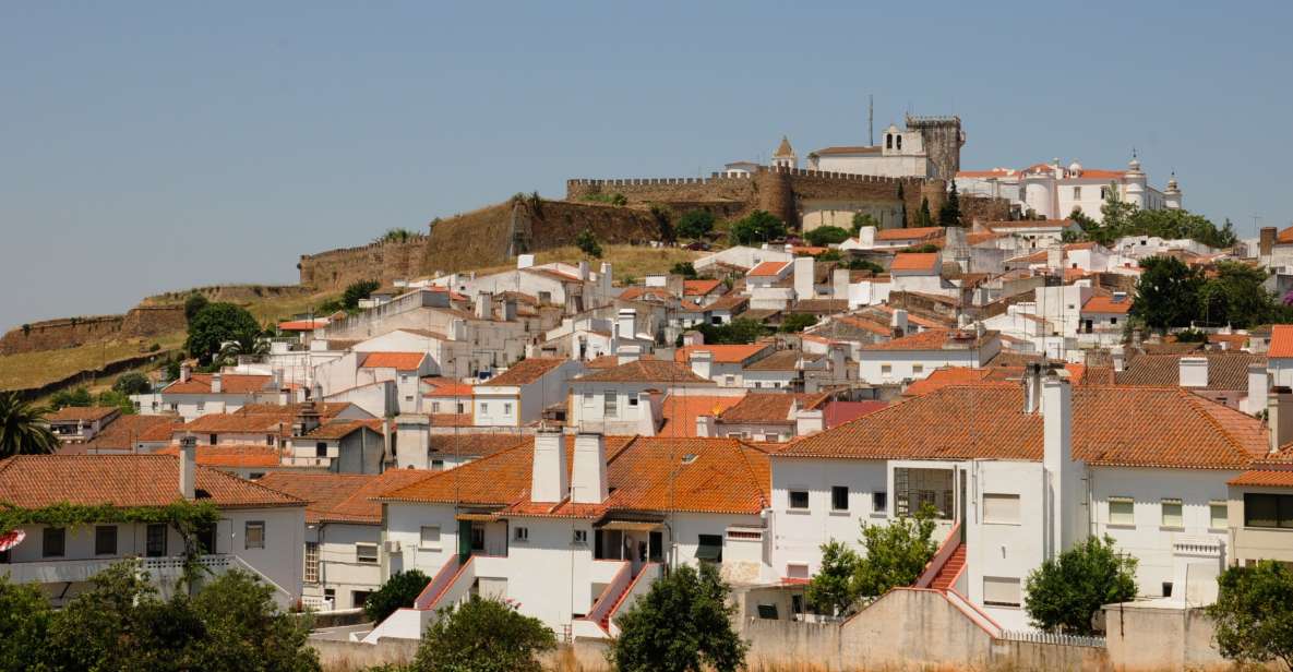 From Lisbon: Private Customized Small-Group Tour to Evora - Highlights of Évora City