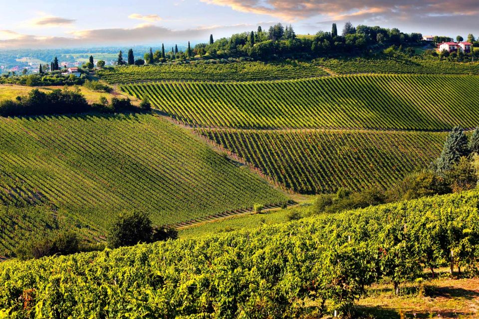 From Livorno: Siena, San Gimignano & Chianti Wine Excursions - Itinerary Highlights