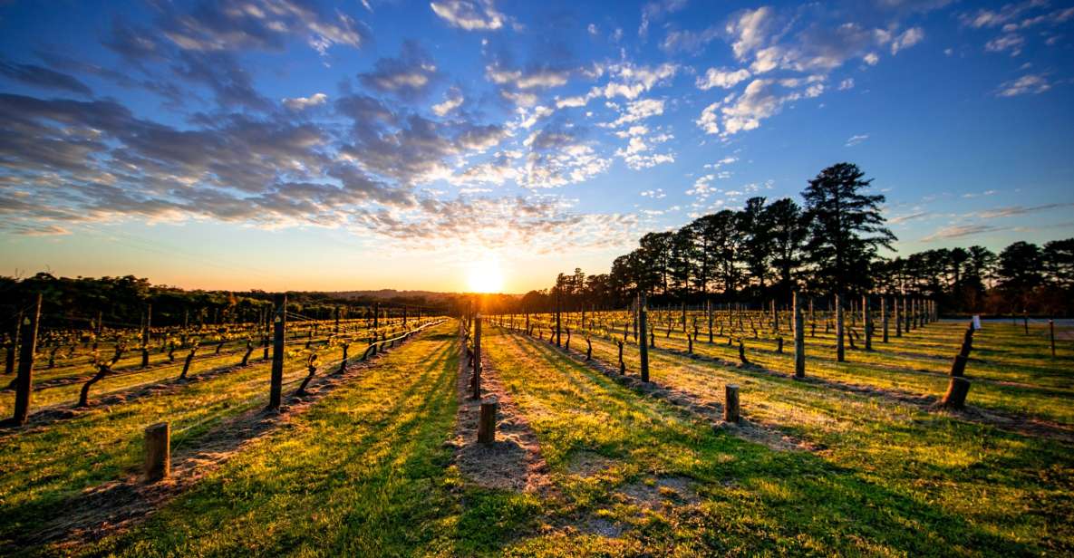 From Melbourne: Mornington Peninsula Food & Wine Taste Trail - Tour Highlights