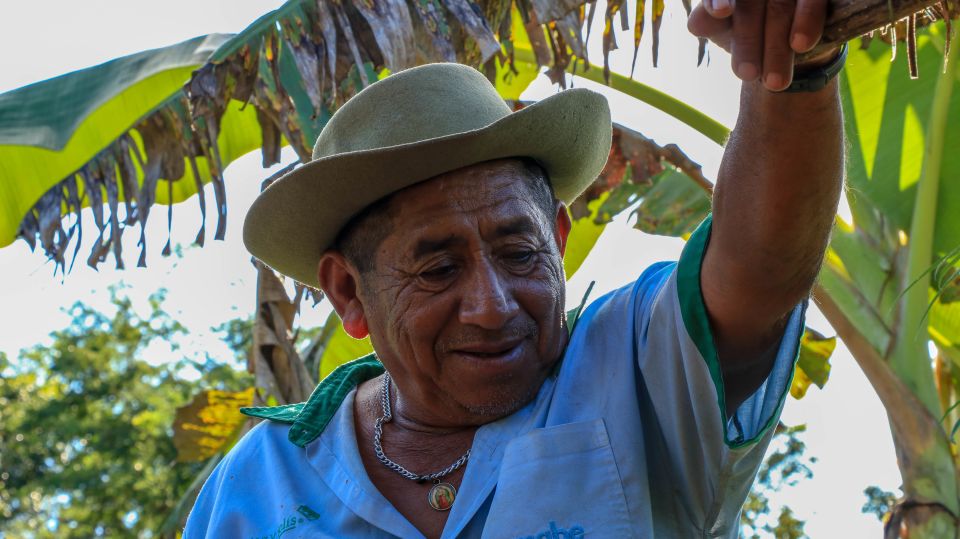 From Mérida: Farming, Cenote, and Ek Balam Pyramids Tour - Highlights