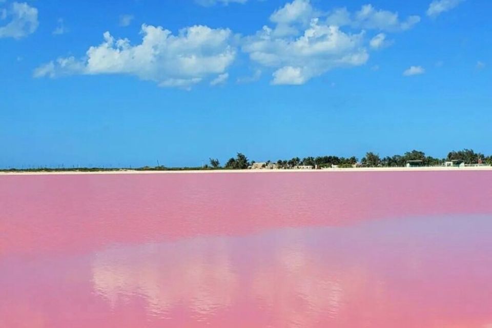 From Merida: Tour to Las Coloradas and Rio Lagartos - Pickup and Transportation