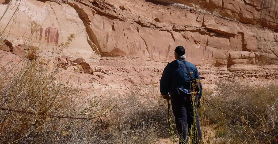 From Moab: 1-Day Horseshoe Canyon Exploration - Tour Highlights