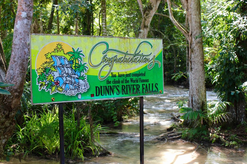 From Montego Bay: Dunn's River Falls Experience - Activities at Dunns River Falls