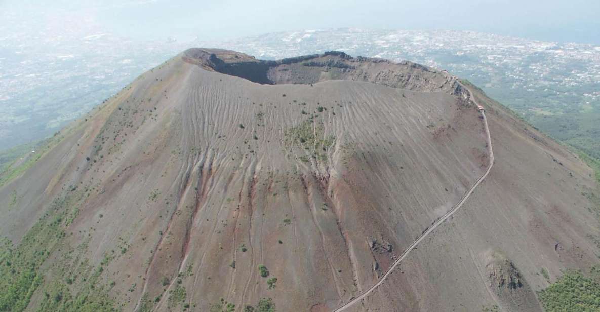 From Naples - Private Tour Pompeii, Vesuvius, and Sorrento - Inclusions