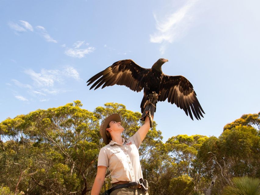 From Penneshaw: Kangaroo Island Sights and Wildlife Tour - Tour Features