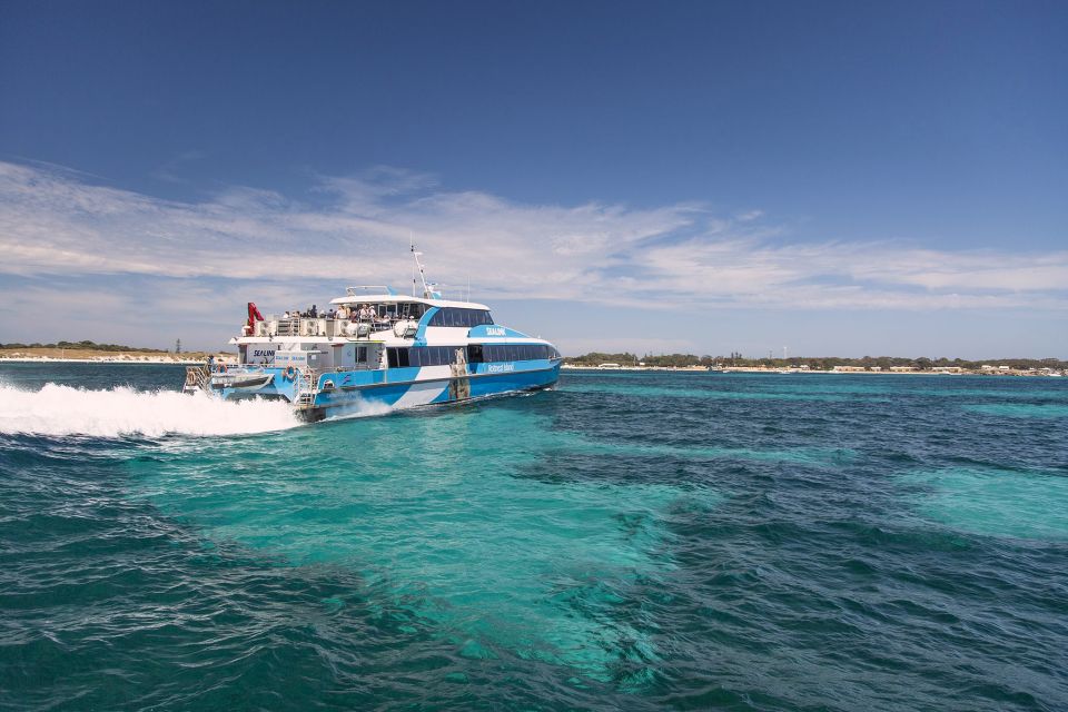 From Perth or Fremantle: Rottnest Island Ferry and Bus Tour - Itinerary