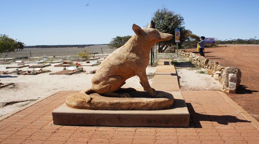 From Perth: Wave Rock and York Cultural Tour With a Guide - Tour Highlights