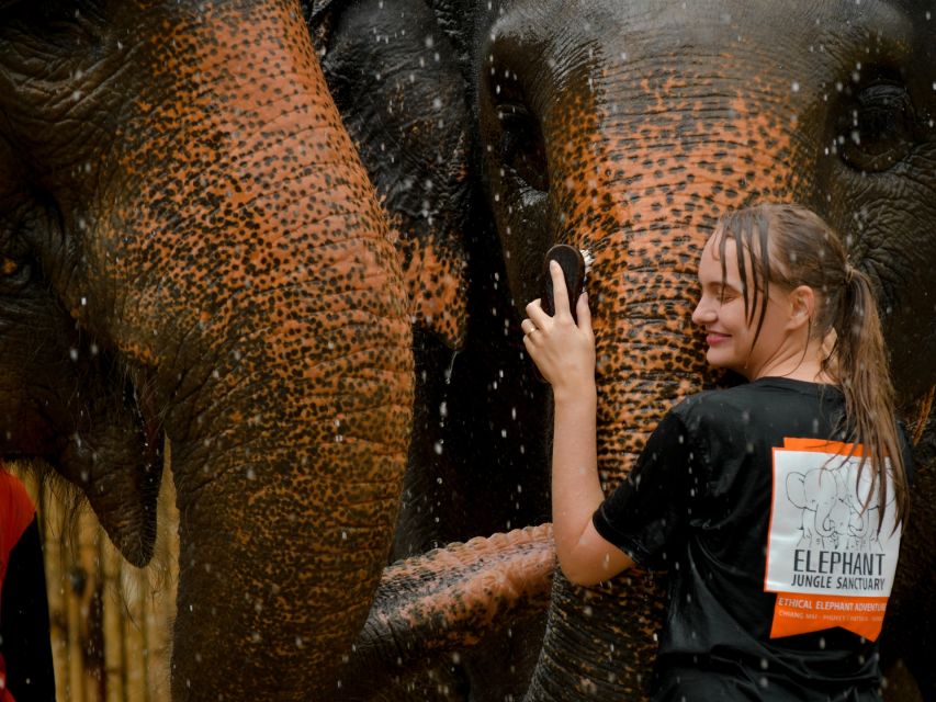 From Phuket: Elephant Jungle Sanctuary Feed and Shower Trip - Ethical Elephant Interactions