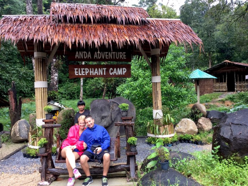 From Phuket & Khao Lak: Elephant Care With Waterfall Visit - Highlights of the Tour