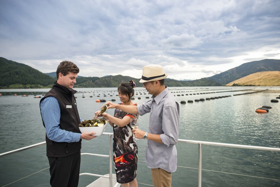 From Picton: Marlborough Sounds Cruise With Seafood - Pricing and Duration