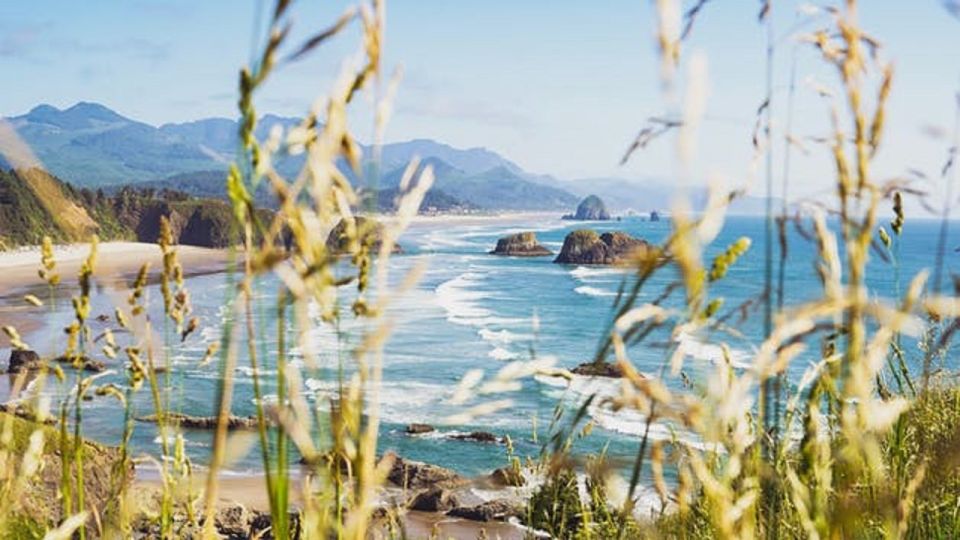 From Portland: Oregon Coast Tour - Exploring Coastal Destinations