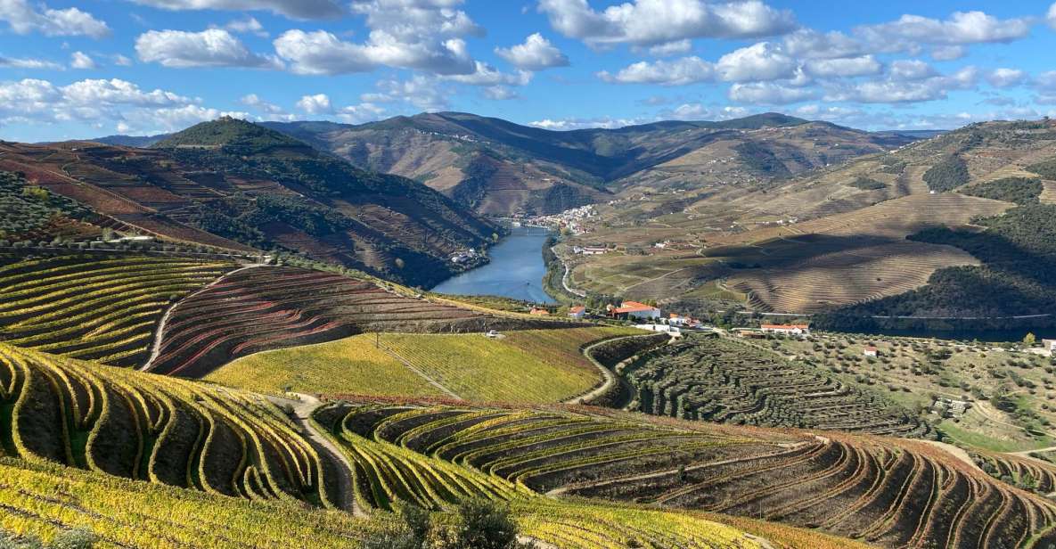 From Porto: Private Douro Valley Tour and Boat Cruise - Booking Information