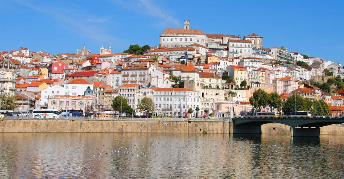 From Porto: Private Sightseeing Coimbra and Aveiro Tour - Itinerary Highlights