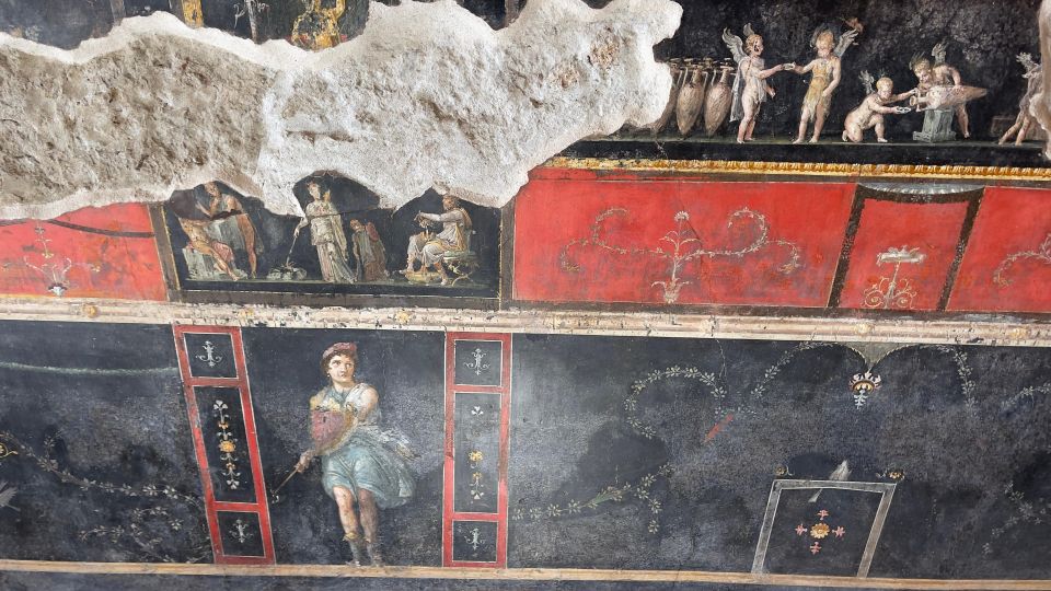 From Positano: Pompeii & Vesuvius Tour Small Group - Inclusions