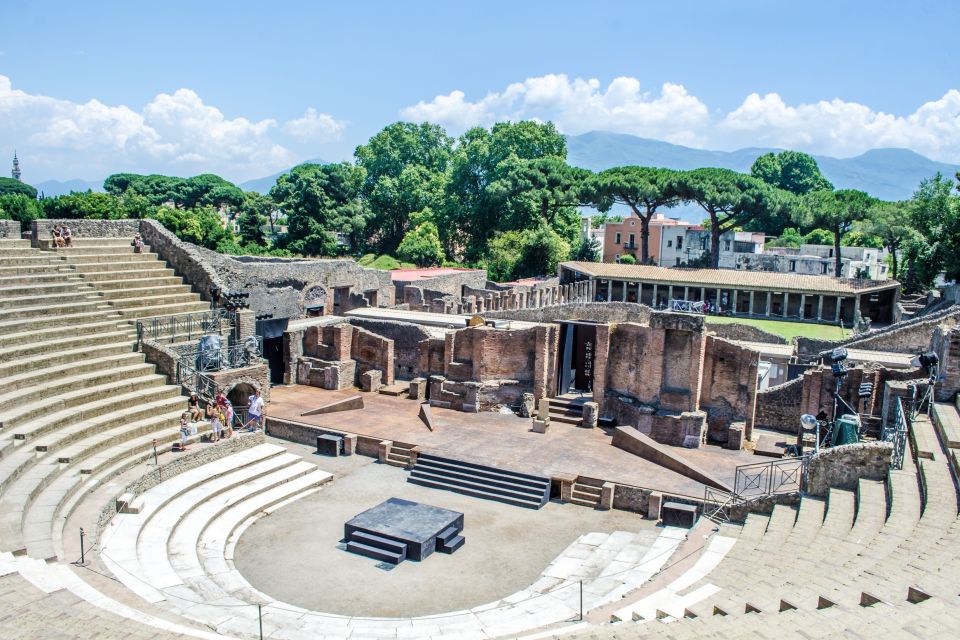 From Rome: Ruins of Pompeii Full-Day Audio Guide Tour - Highlights