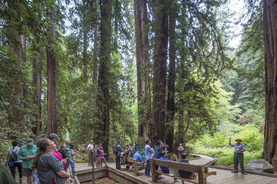 From San Francisco: Muir Woods, Sausalito and Alcatraz Tour - Duration and Languages