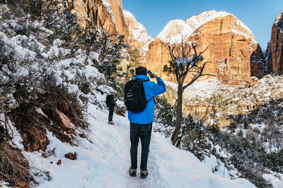 From Springdale: 4-hour Zion Canyon Scenic Hiking Tour - Pricing and Availability Details