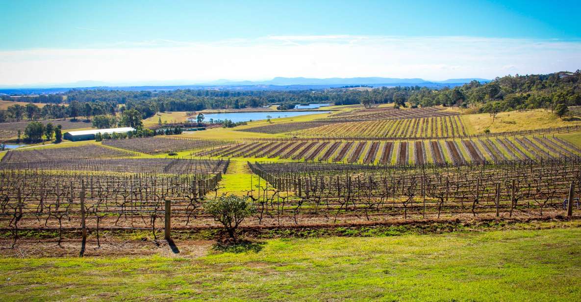 From Sydney: Hunter Valley Wine Tasting Private Day Tour - Inclusions