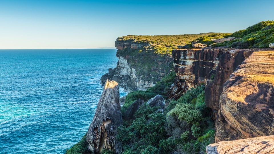 From Sydney: Royal National Park Private Tour - Tour Duration and Language