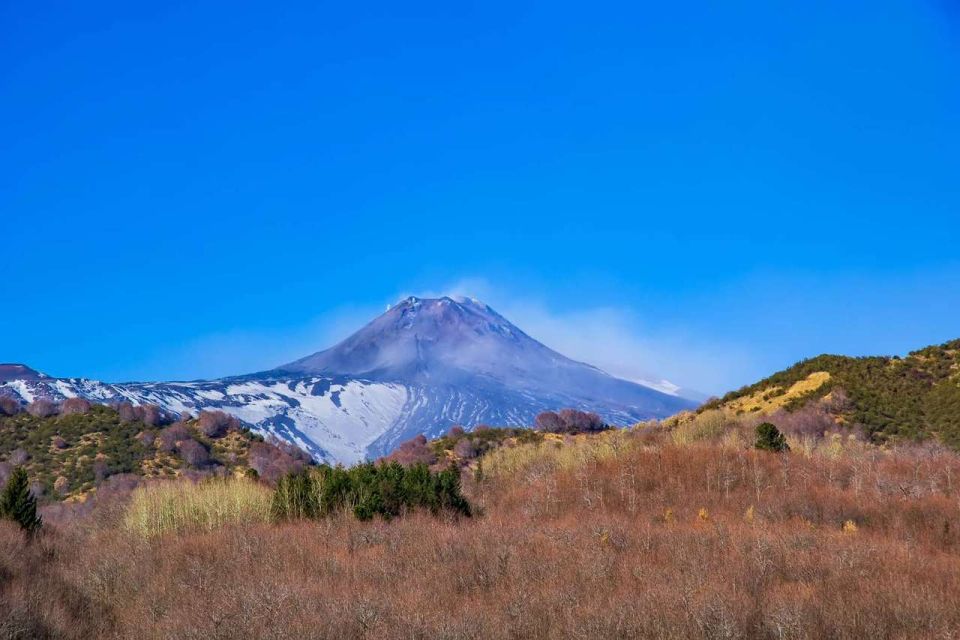 From Syracuse: Private Etna and Taormina Tour - Activity Description