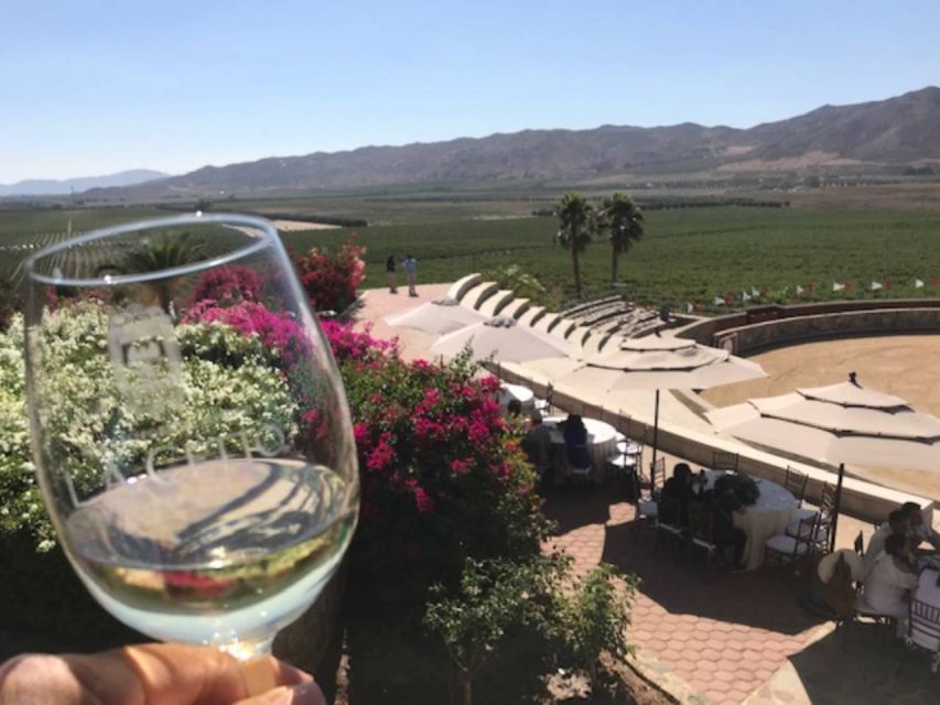 From Tijuana: Valle De Guadalupe Private Winery Tour - Included in the Tour